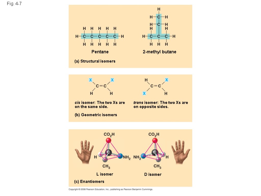 Fig. 4-7 Pentane (a) Structural isomers (b) Geometric isomers 2-methyl butane cis isomer: The